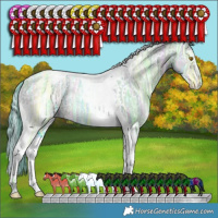 Horse Color:Watercolor White Spotted Brown Ice Pearl Splash Tobiano 