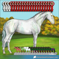 Horse Color:Watercolor White Spotted Brown Ice Pearl Splash Tobiano