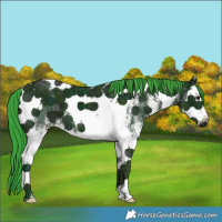 Horse Color:Watercolor White Spotted Midnight Black Ice Splash Tobiano 