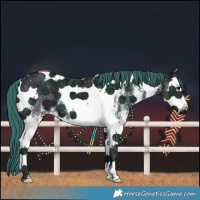Horse Color:Watercolor White Spotted Midnight Black Ice Splash Tobiano 