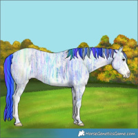 Horse Color:Painted Watercolor White Spotted Black Ice