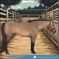 Horse Color:Bay Dun