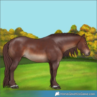 Horse Color:Chocolate Brown 