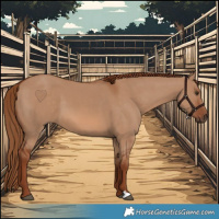 Horse Color:Red Dun 