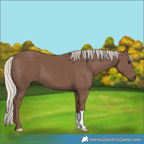 Horse Color:Silver Black 