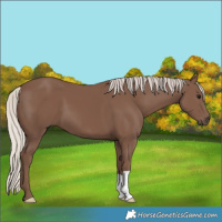 Horse Color:Silver Black