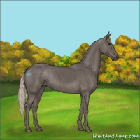 Horse Color:Silver Black 