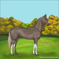 Horse Color:Silver Black 