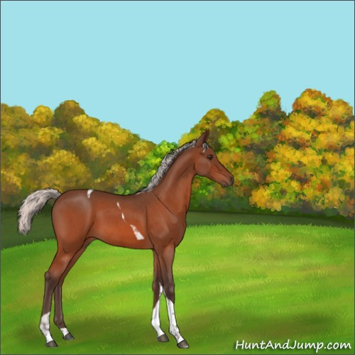 Horse Color:Silver Brown Roan Tobiano 