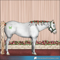 Horse Color:White Spotted Amber Cream Champagne Pearl Sabino Frame 
