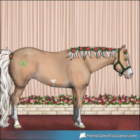 Horse Color:Silver Amber Champagne 