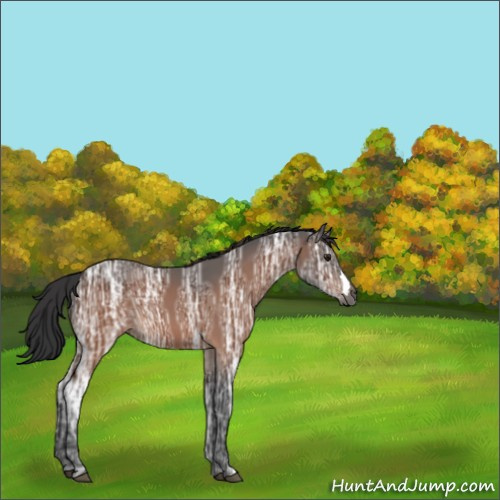 Horse Color:Brown Ice 