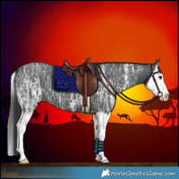 Horse Color:Black Ice Splash 