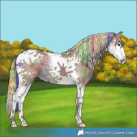 Horse Color:Painted Nacre White Spotted Silver Smoky Grullo Splash Tobiano Rabicano 