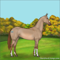 Horse Color:Red Dun 