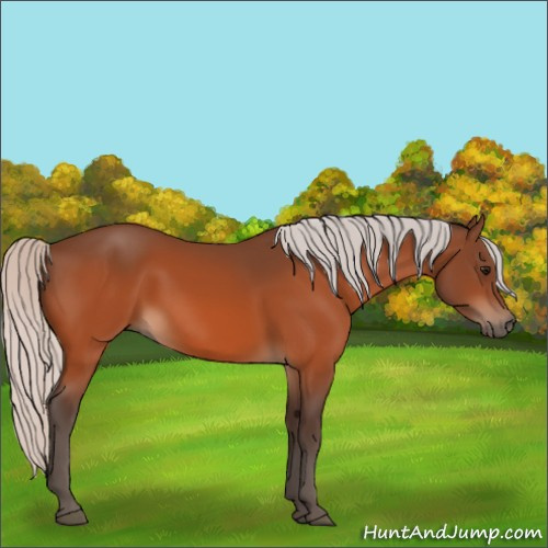 Horse Color:Silver Bay