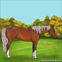 Horse Color:Silver Brown 