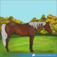 Horse Color:Silver Brown 
