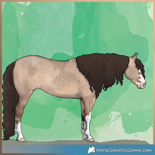 Horse Color:Bay Dun  and Amber Champagne Dun 