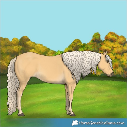 Horse Color:Palomino 