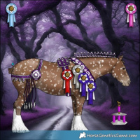 Horse Color:Gray Black Pearl Appaloosa