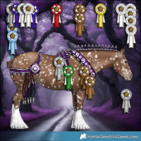 Horse Color:Gray Black Pearl Appaloosa