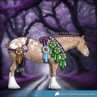 Horse Color:Black Pearl Appaloosa 