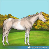Horse Color:Perlino Tobiano 
