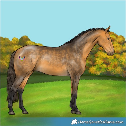 Horse Color:White Spotted Buckskin 