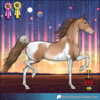 Horse Color:Liver Chestnut Pearl Tobiano