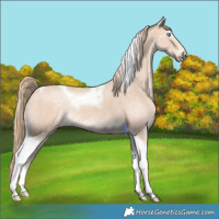 Horse Color:Perlino Tobiano