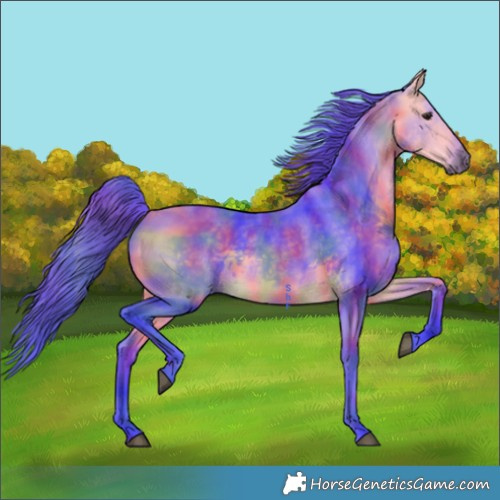 Horse Color:Nacre Watercolor Buckskin 