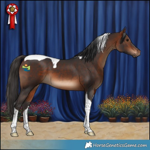 Horse Color:Bay Tobiano 