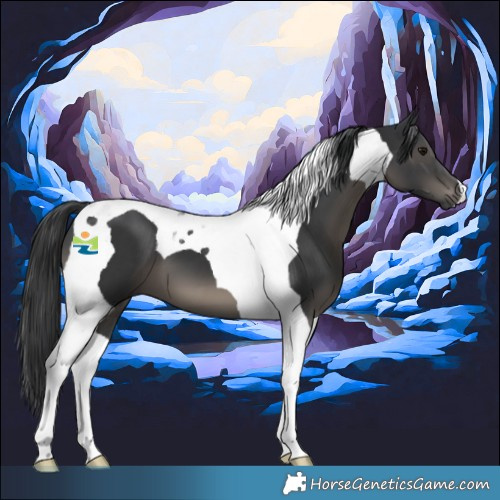 Horse Color:Black Tobiano 