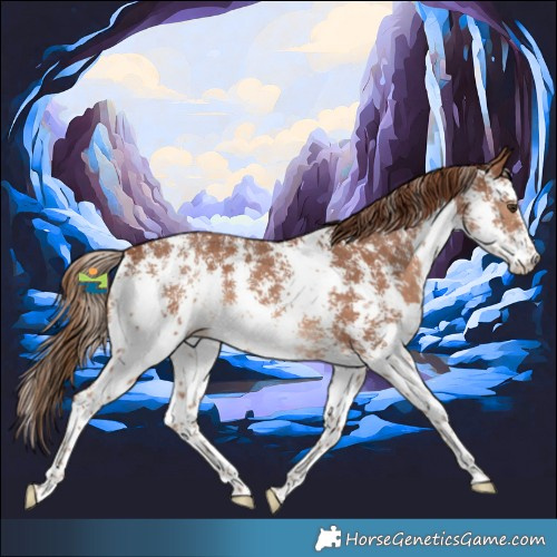 Horse Color:Chestnut Sabino 