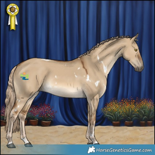 Horse Color:White Spotted Chocolate Palomino Dun 