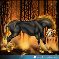 Horse Color:Void Black Tobiano Rabicano 