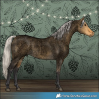 Horse Color:Void Silver Buckskin Roan Dun 