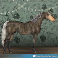 Horse Color:Void Silver Buckskin Roan Dun 