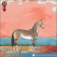 Horse Color:Buckskin Dun Brindle