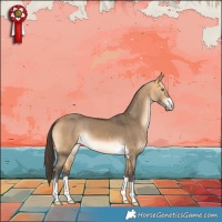 Horse Color:Buckskin Dun Brindle 