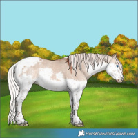 Horse Color:Silver Brown Dun Splash Tobiano Varnish 