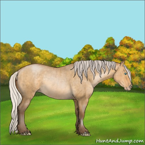 Horse Color:Gray Silver Buckskin Pearl Dun Rabicano Brindle 