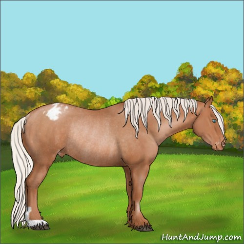 Horse Color:Silver Brown Pearl Appaloosa Rabicano 