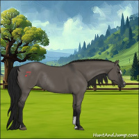 Horse Color:Gray Grullo Sabino Rabicano 