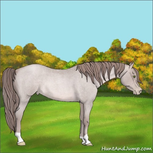 Horse Color:Platinum Brown Roan Pearl 