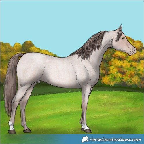 Horse Color:Platinum Brown Roan Pearl 