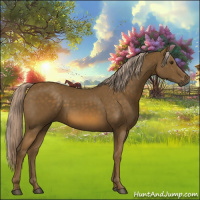 Horse Color:Chocolate Palomino