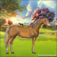 Horse Color:Gray Palomino 