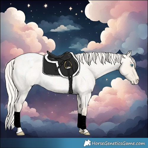 Horse Color:Cremello Roan Dun Varnish 
